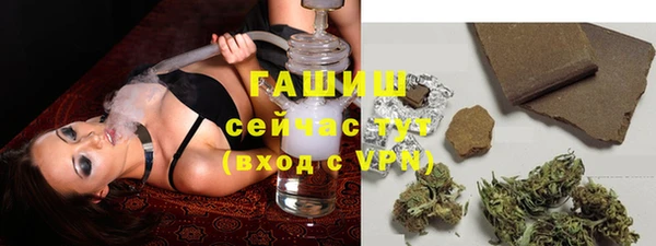 гидра Елабуга