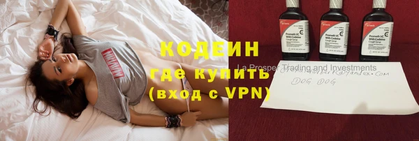 гидра Елабуга