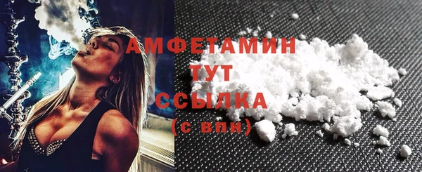 гидра Елабуга