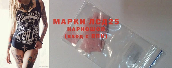 гидра Елабуга