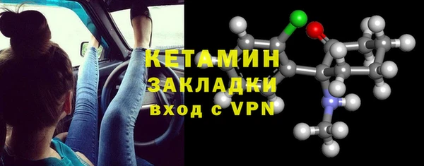 гидра Елабуга