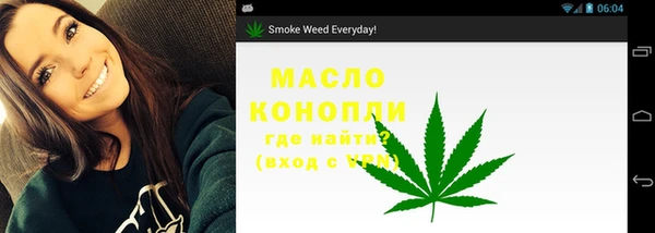гидра Елабуга