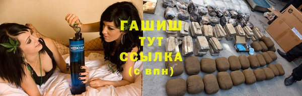 гидра Елабуга