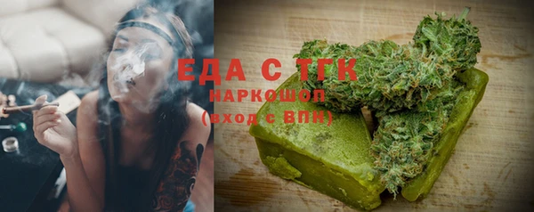 гидра Елабуга