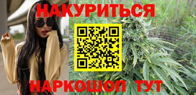 крисы Пенза