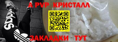 крисы Пенза