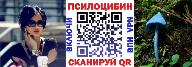 omg   купить наркотики сайты  это наркотические препараты  Галлюциногенные грибы Magic Shrooms  Северск 