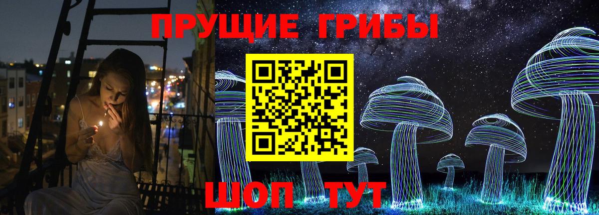 Северск  Псилоцибиновые грибы Psilocybe  Псилоцибиновые грибы мухоморы  Вход с VPN 
