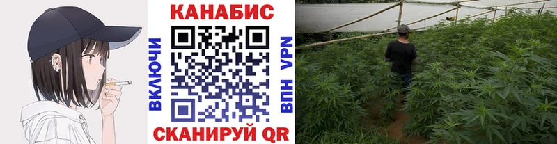 маркетплейс как зайти  Северск  Шишки марихуана тримм 